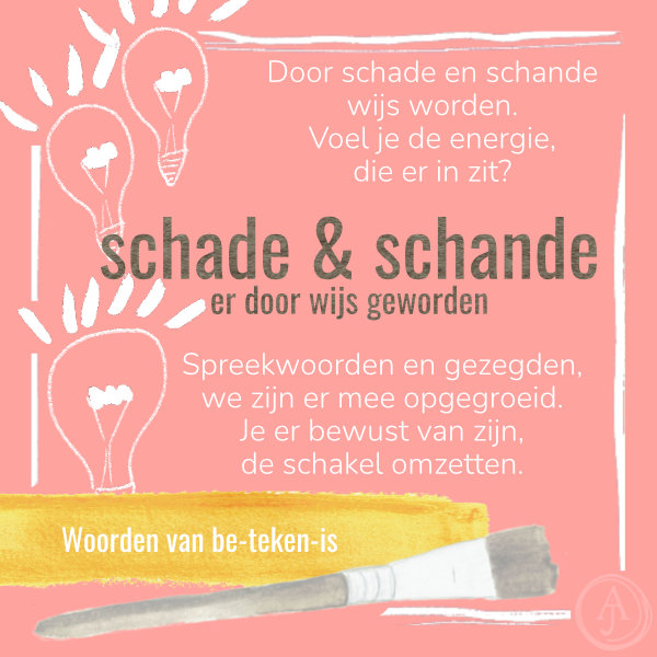 Door schade en schande wijs worden